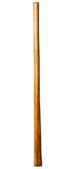 Gloss Finish Didgeridoo (TW923)